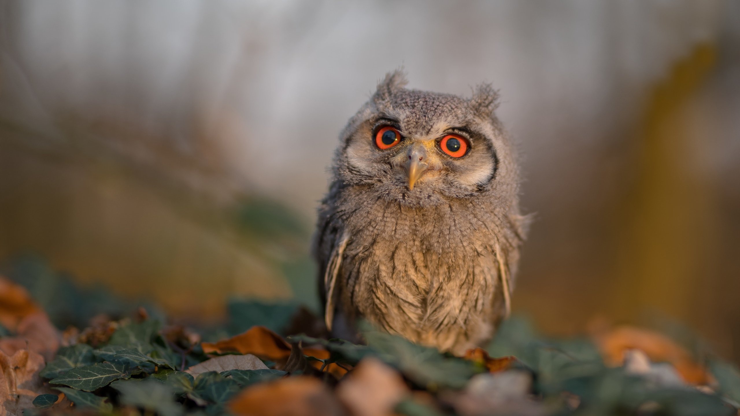 中超后腰球员拦截数据报告,中超拦截榜